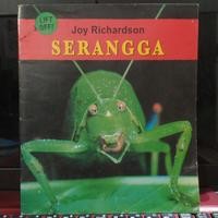 Image of Serangga